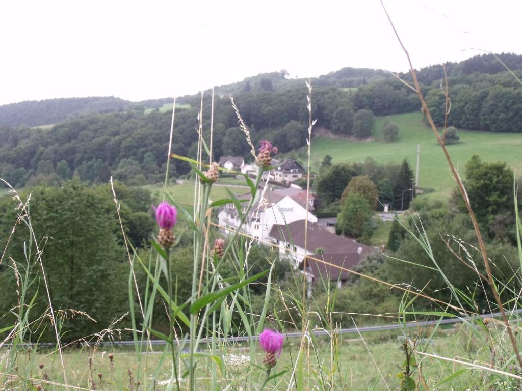 Hotel Zur Engelsburg Hausen-Wied Kültér fotó