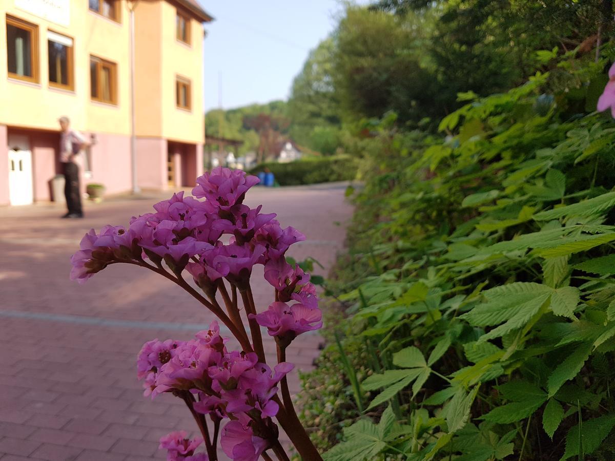 Hotel Zur Engelsburg Hausen-Wied Kültér fotó